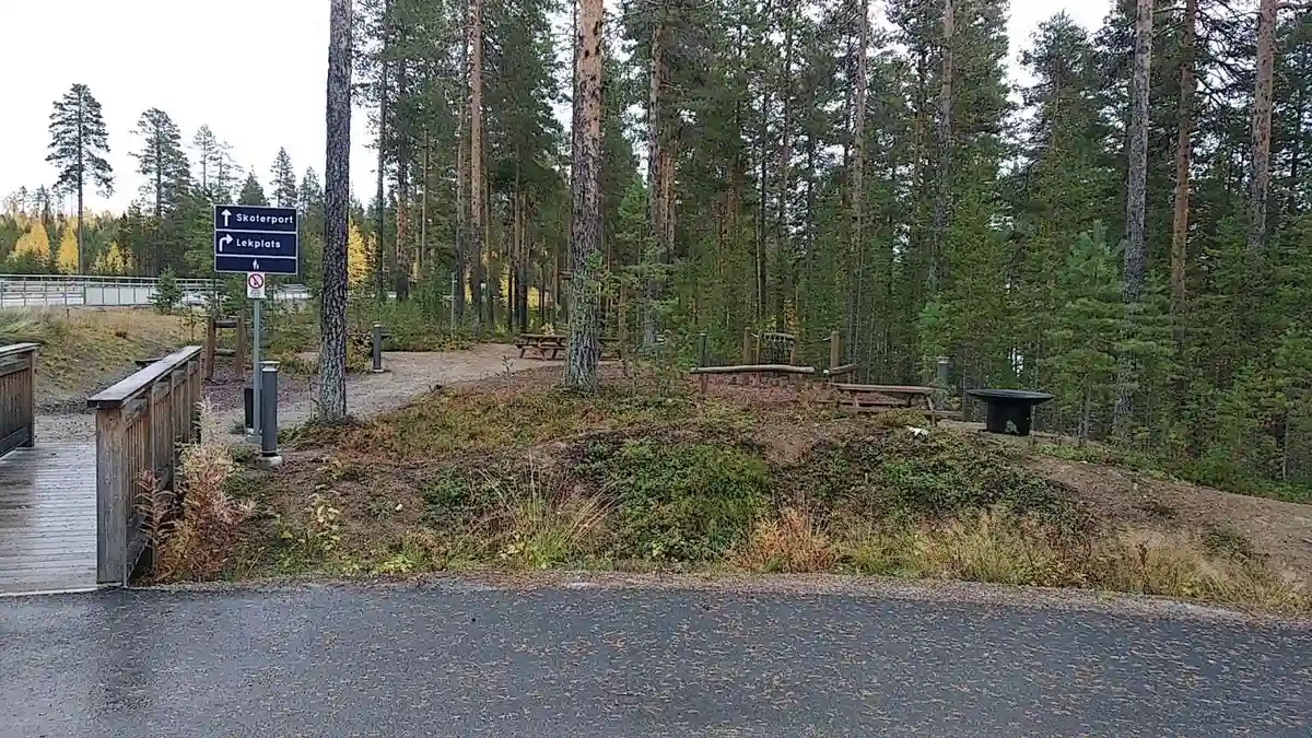 En skogsstig kantad av täta barrträd, med tallar och granar i en grönskande skogsmiljö vid Lapplandsportens camping.