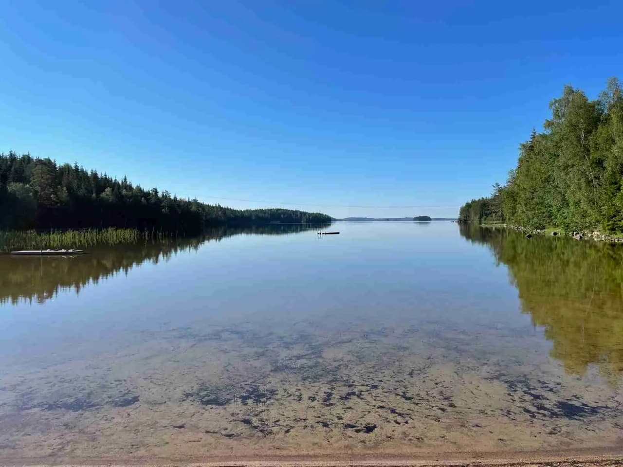 En lugn sjö omgiven av grönska en solig dag, med en klarblå himmel reflekterande i vattnet vid Sandviken fribad och camping.