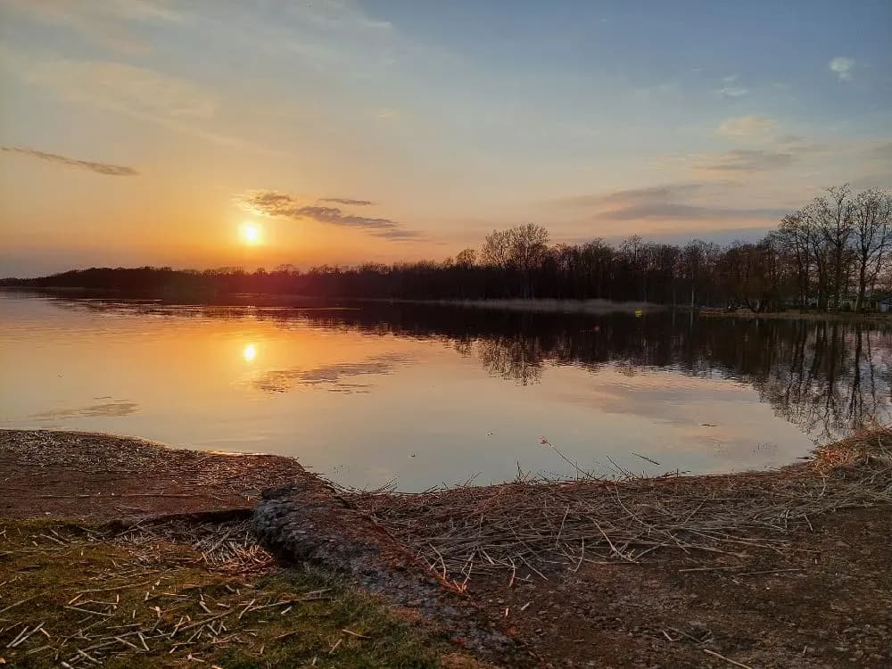 Upptäck Jägersbo Camping vid Ringsjön—skånsk idyll med strandnära platser, moderna faciliteter och aktiviteter för hela familjen!