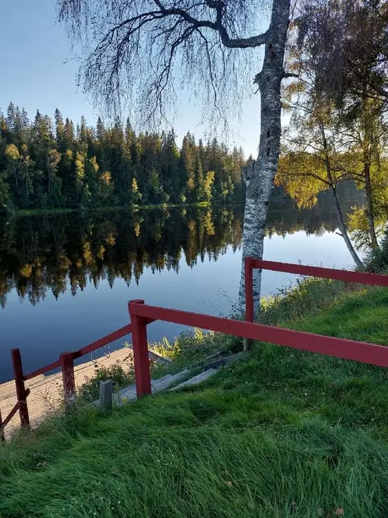 En fridfull sjömiljö vid Grebbestadfjorden med spegelblanka vatten som reflekterar den omgivande naturen av träddungar och flodlandskap.
