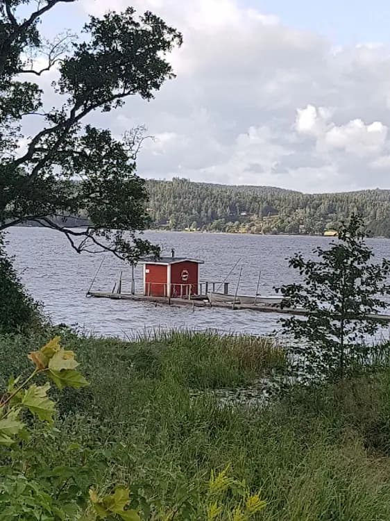 En lantlig campingplats vid en sjö med grönskande omgivningar och en liten stuga nära strandkanten.
