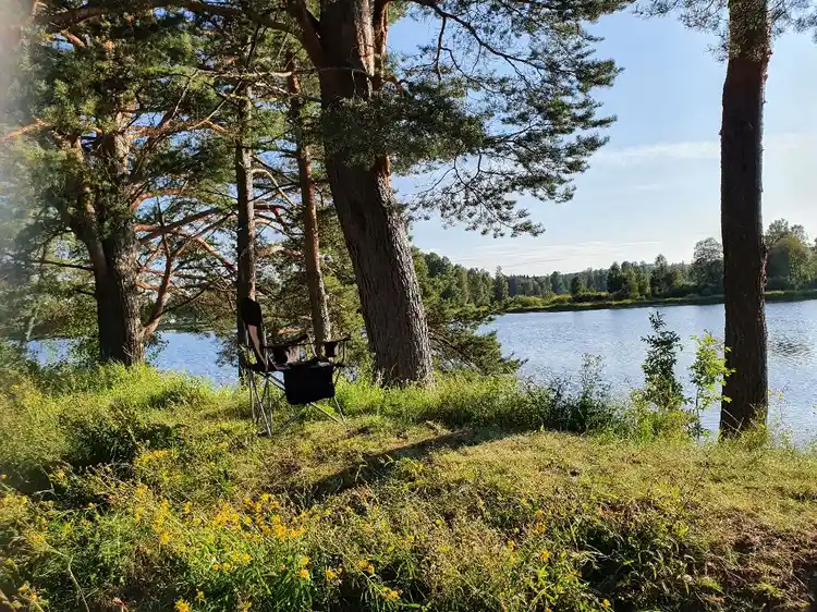 En naturskön campingplats vid en sjö, omgiven av grönskande träd och växter, som skapar en lugn och harmonisk miljö.