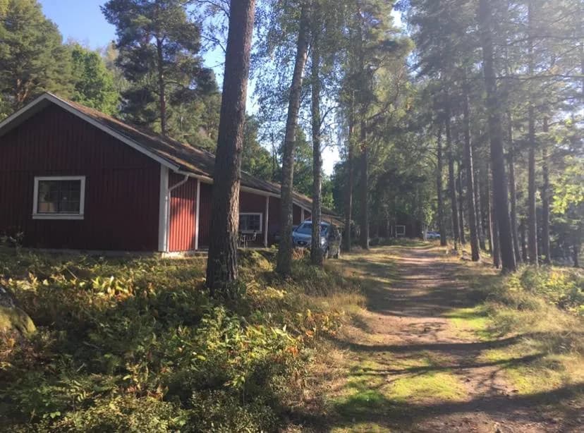 En lantlig stuga omgiven av grönska med träd och gräs i förgrunden.