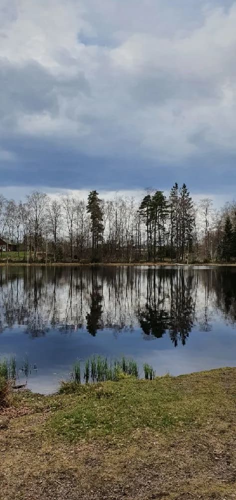 En stillsam sjö omgiven av grönskande träd vid Hörsjöns camping, med himlen reflekterad i det lugna vattnet.