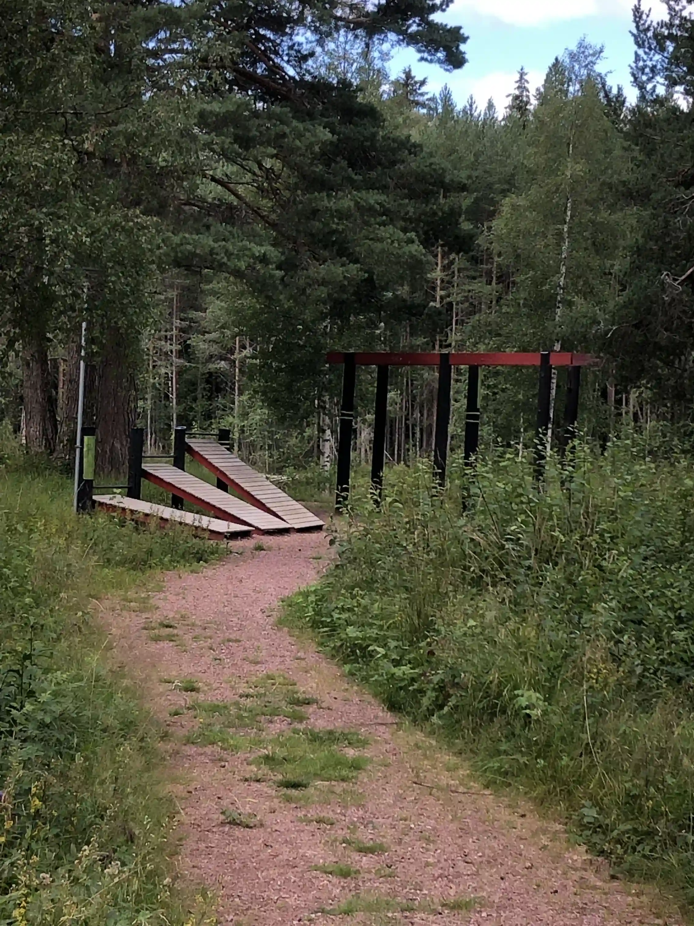 En lugn skogsstig omgiven av tät barrskog med höga granar i älvdalens camping.