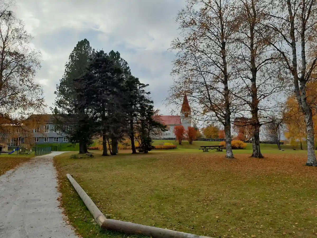 Fällfors Camping: Upplev magisk natur vid Byskeälven med fiske, vandring och stjärnbeströdda nätter i en lugn oas.