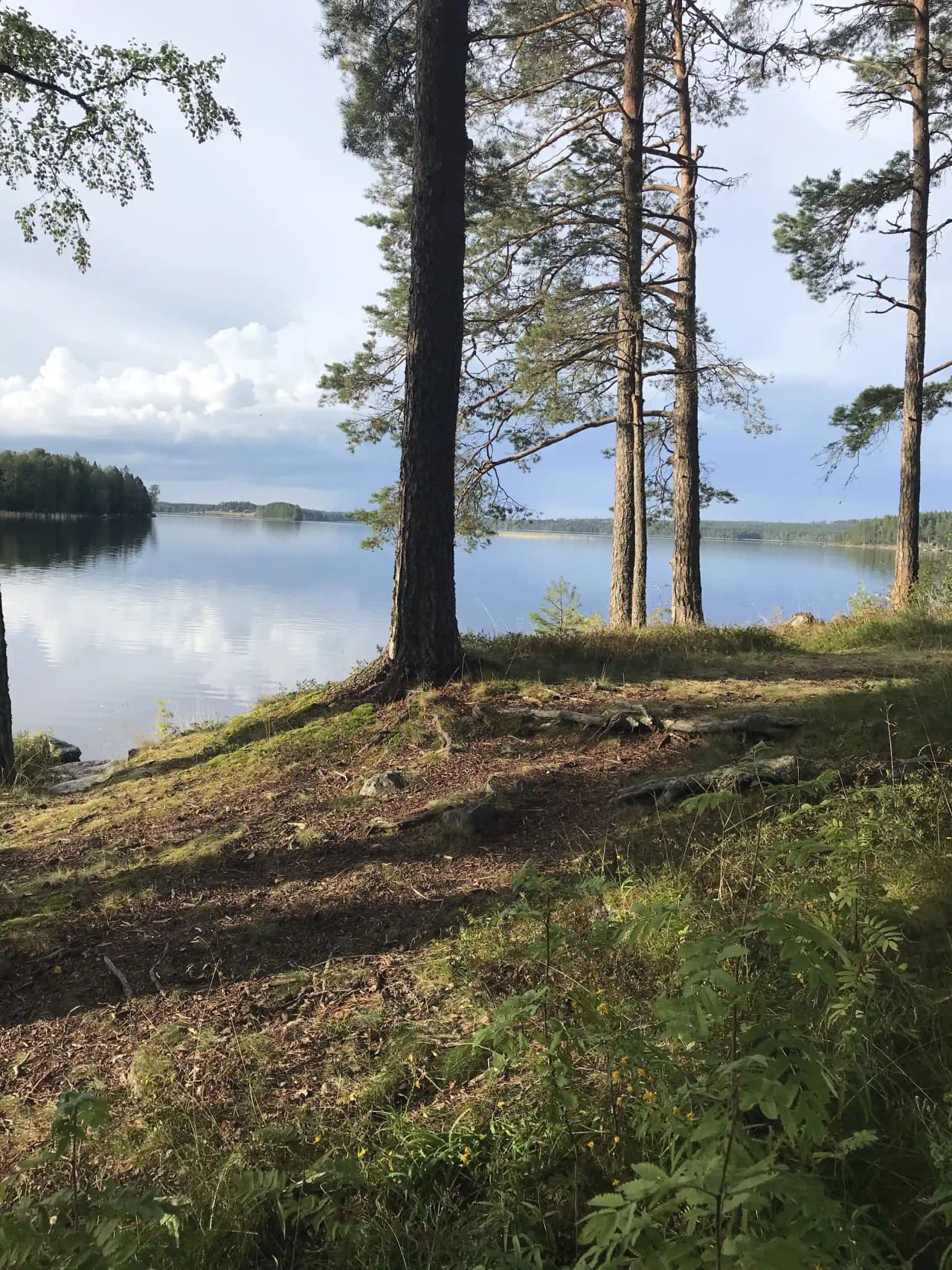 En vacker sjö omgiven av frodig natur vid Horndals bad & camping, med klart vatten och gröna skogar i bakgrunden.