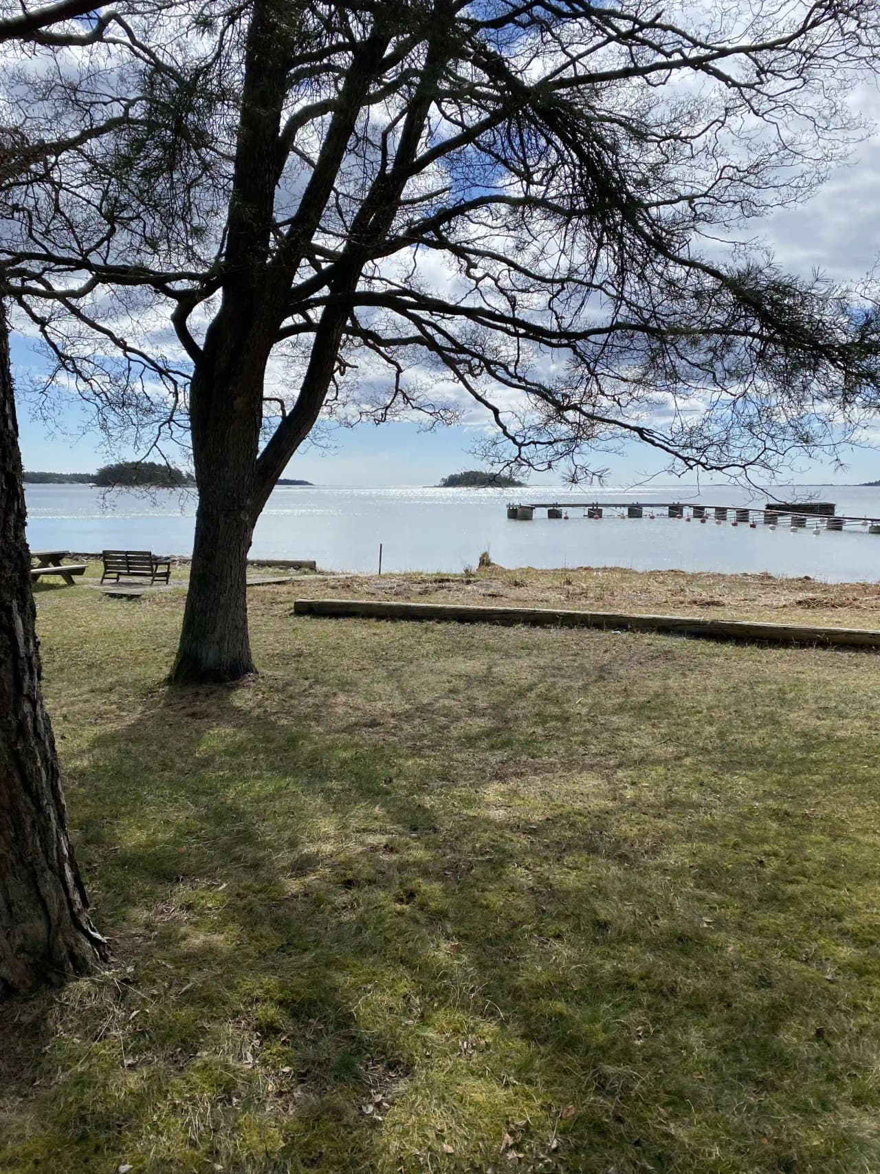 En solbelyst campingplats vid kusten, med en strand och träd i närheten, skapar naturlig skugga över sittplatser utomhus.