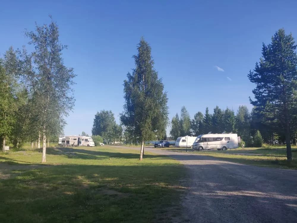 Bild av Sikeå Havscamping med husvagnar och husbilar parkerade på en grön rekreationsplats omgiven av barrträd. En bred uppfart leder genom området.