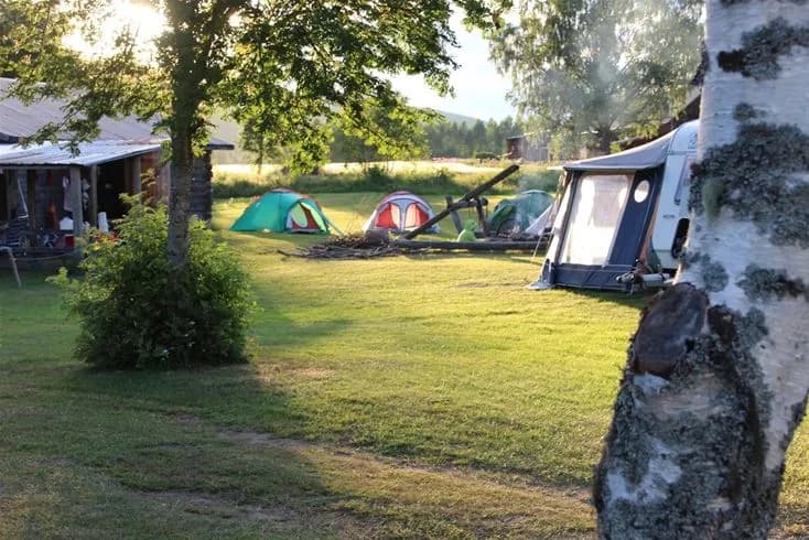 En grönskande campingplats vid Björkebo med tält uppsatta på gräsmattan, omgiven av träd och buskar som ger skugga och en känsla av natur och avkoppling.