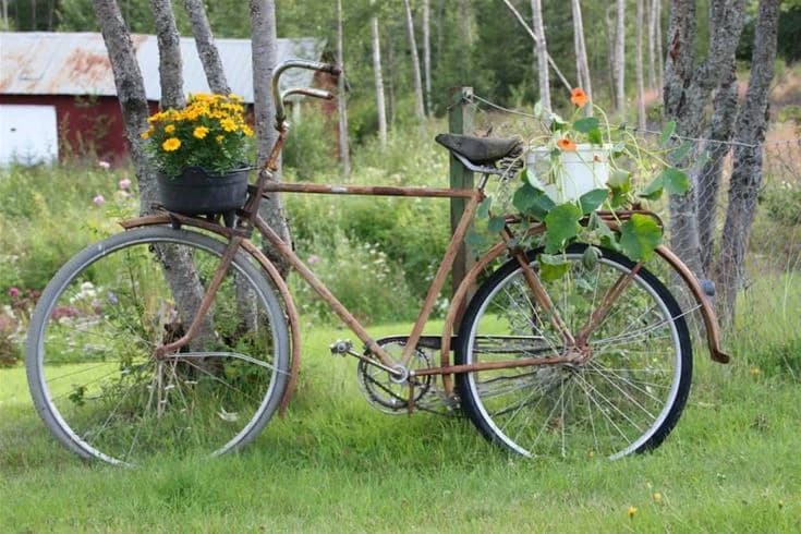En cykel parkerad på gräs vid Björkebo Camping, omgiven av grönska, hjul och cykelram tydligt synliga.