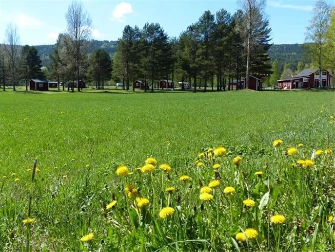 Bild av Björkebo camping med grönska och öppna gräsmarker omgivna av träd.