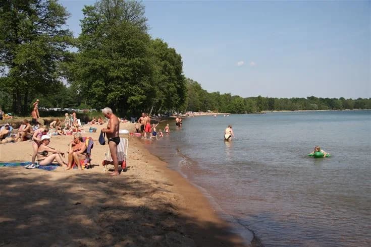 En somrig strand med klarblått vatten vid Breviks camping & ställplats, omgiven av grönskande natur och en avkopplande atmosfär.