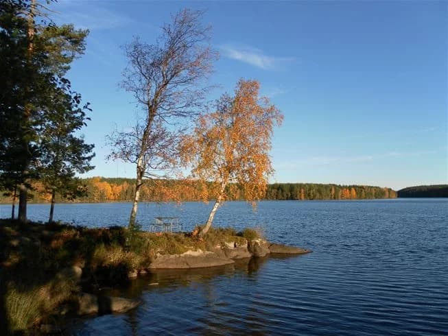En naturskön utsikt över Långsjön från campingplatsen, med spegelblankt vatten omgivet av frodig grönska och en klar blå himmel.