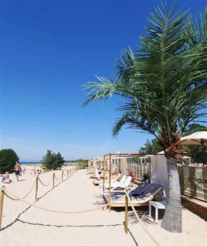 Tofta Camping: En gotländsk pärla vid havet, perfekt för familjer, äventyr och avkoppling, bara 18 km från Visby.
