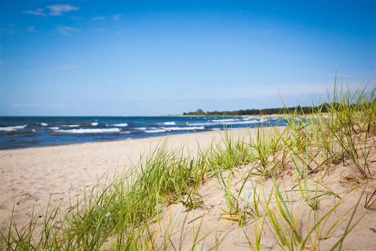 En somrig strand med utsikt över havet, blå himmel och horisont i bakgrunden vid Tofta camping.