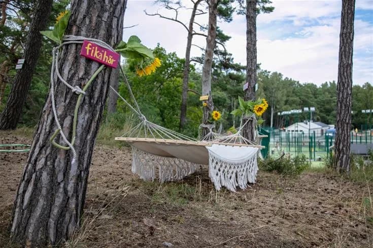En hängmatta är uppspänd mellan två trädstammar i en skogsdunge på Tofta camping. Omkring finns tät skog och grönska, vilket ger en känsla av lugn och avkoppling i naturen.