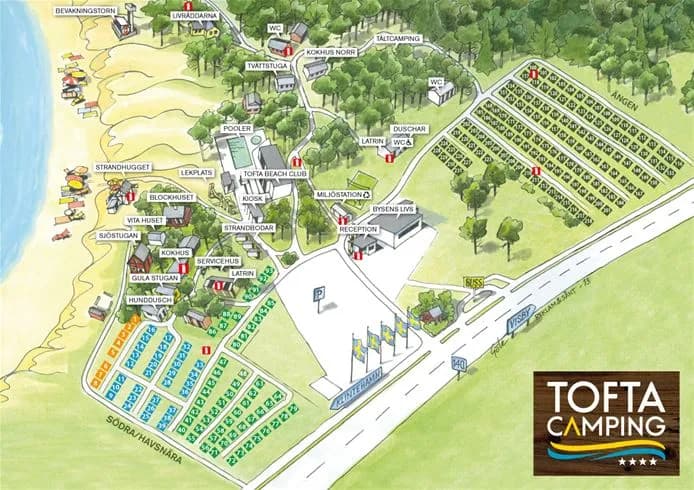 En solig dag på Tofta Camping med frodiga gröna palmer och en avslappnande semesterstämning, liknande en tropisk semesterort.