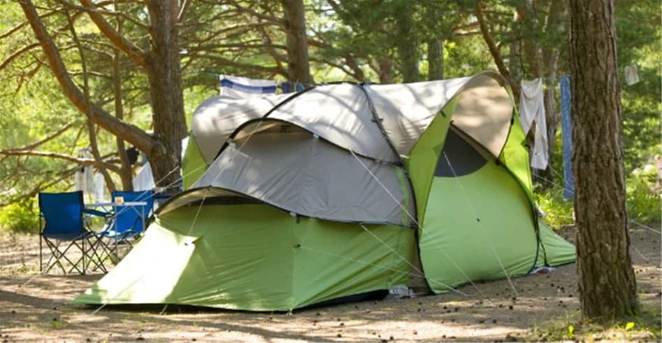 En bild av Tofta Camping som visar flera tält uppställda på en grön campingplats, omgivna av träd som ger skugga.