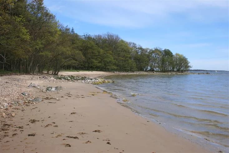 En fridfull kustbild vid Kapellskärs camping, med blått vatten som möter en sandig strand omgiven av naturlig vegetation.