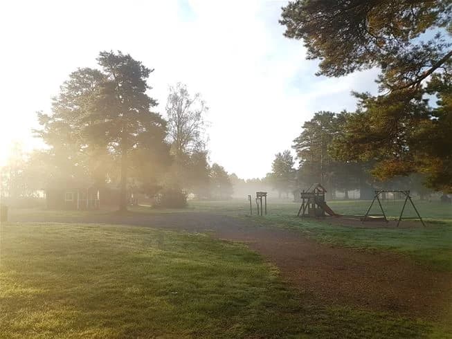 En dimmig morgon vid Nås camping med gräsfält i förgrunden och trädgrenar som skymtar i bakgrunden, omgivna av en lugnande natur.