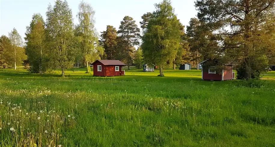 En grön campingplats med gräs och träd, en stuga syns i bakgrunden i ett lantligt område.