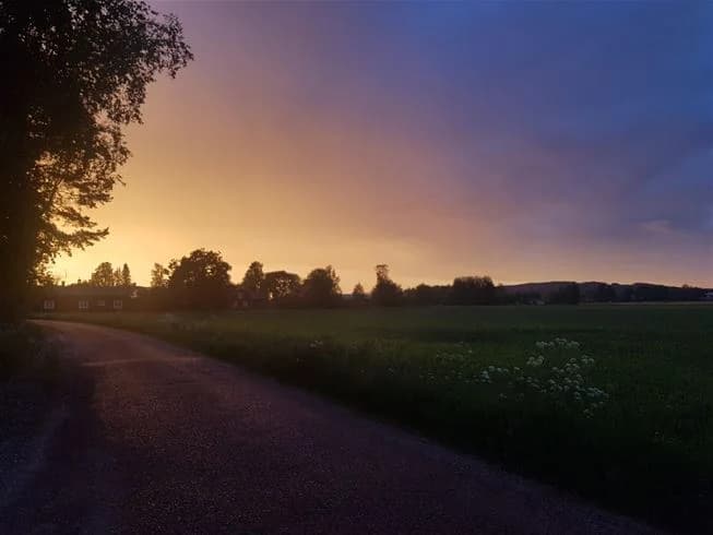 En naturskön vy vid Nås camping, med en väg som sträcker sig genom ett vackert landskap av skog och öppna fält. Solen är lågt stående vid horisonten, vilket ger en varm, mjuk belysning och skapar en stämningsfull solnedgång eller soluppgång.