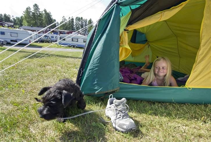 En tältplats på Skellefteå camping, där flera tält står uppställda bland gröna träd. Människor njuter av friluftslivet i skuggan med camping- och vandringsutrustning i närheten.