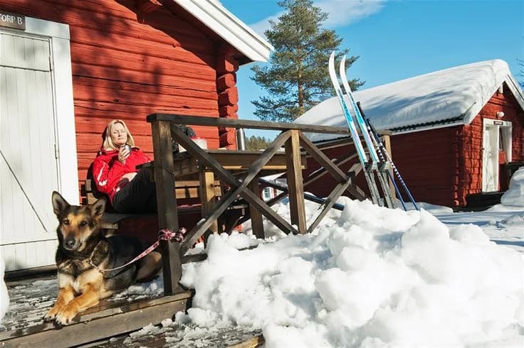 En vinterdag på Skellefteå camping med snötäckta stugor och en hund som utforskar det frusna landskapet.