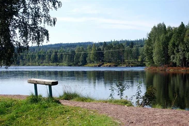 En fridfull vy över en sjö med omgivande träd och grönska vid Älvdalens camping, speglar det naturliga landskapet och vattnets lugn.