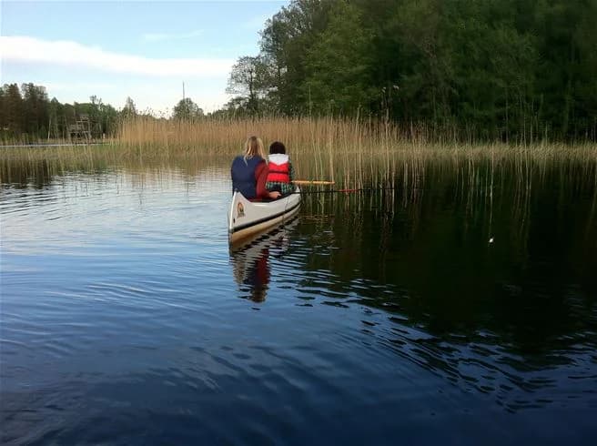 En stillsam sjö med några båtar förtöjda längs strandkanten, omgivet av grönska. Perfekt för rekreation och friluftsliv vid Malmköpings Bad & Camping.