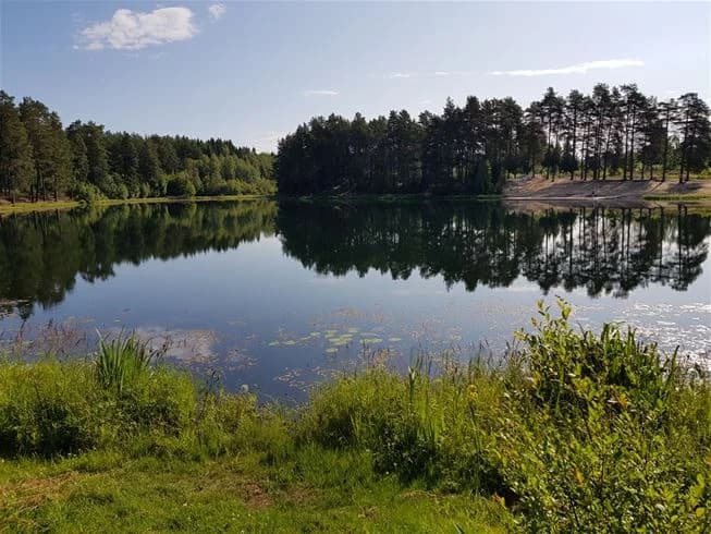 En fridfull sjö omgiven av grönskande träd och natur, med speglingar i vattnet vid Vivstavarvstjärns camping.