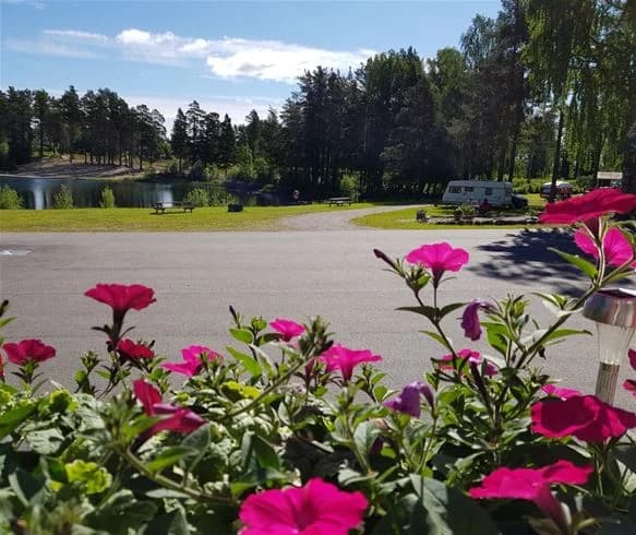 En blomstrande trädgård vid en stillsam sjö på Vivstavarvstjärns camping med frodig landskapsarkitektur i bakgrunden.