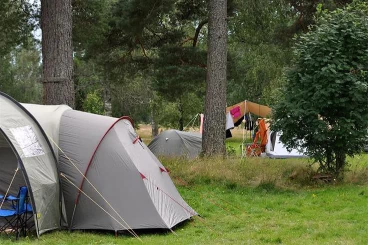 Ett tält står uppställt i en naturskön omgivning på Storängens Camping, omgivet av skuggande träd och frodig växtlighet, med friluftsutrustning synlig i bakgrunden.