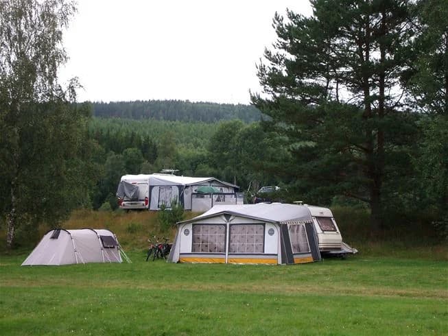 Bild av Storängens camping med flera husvagnar och tält uppställda på en grön äng. Några campingfordon och husbilar syns också i bakgrunden, omgivna av vacker natur.