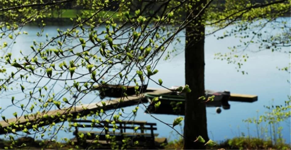 En fridfull vy över en spegelblank sjö omgiven av grönskande natur vid Vallsnäs camping, där trädens siluetter speglas i vattnet.