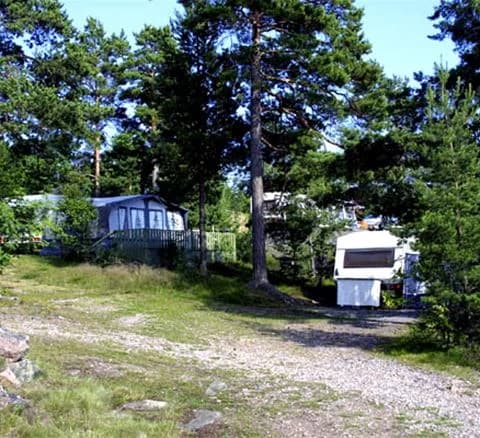 En naturskön campingplats vid Hallmare Havsbad med tält uppställda bland tallar och grön vegetation.