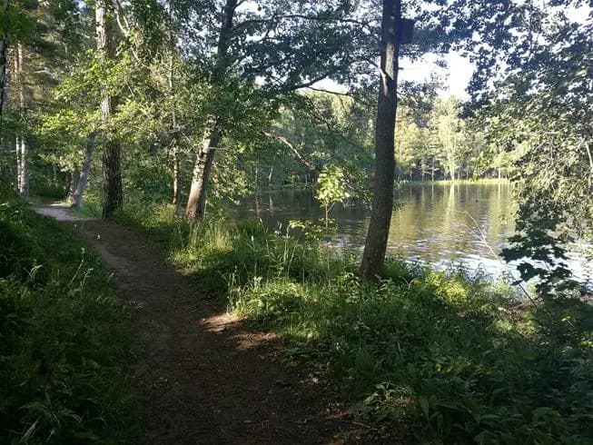 En lugn campingplats vid en sjö, omgiven av grönskande träd och växtlighet i ett naturnära landskap.