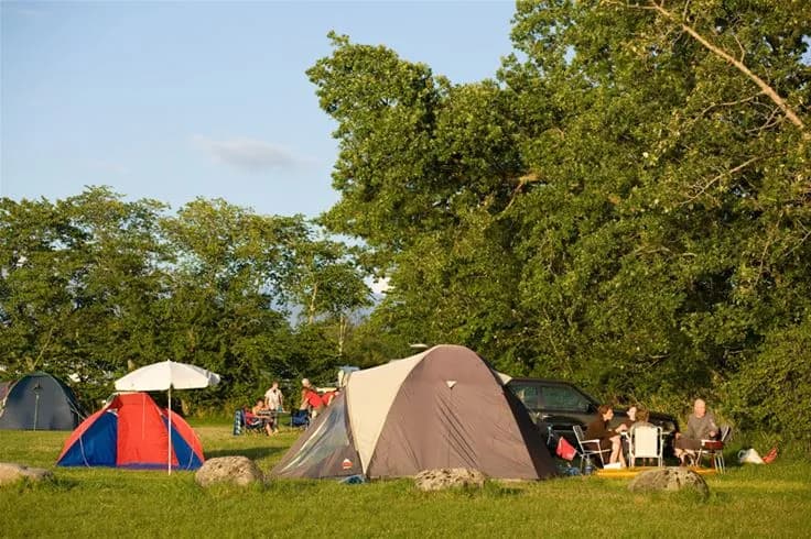 En somrig campingmiljö på Lundegård Camping & Stugby med tält uppsatta bland gröna träd och gräs. Campingutrustning och presenningar är synliga, och platsen inbjuder till friluftsliv och rekreation.