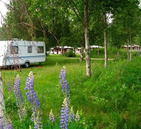 En grön campingplats vid Klarälven, omgiven av gräs och buskar, med husbilar parkerade i bakgrunden.