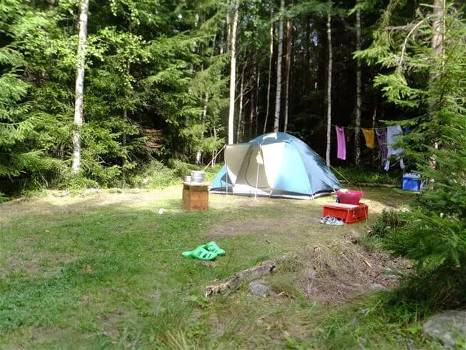 En tältplats omsluten av frodiga träd och skog, med ett tält och en presenning uppställda på campingen Tiveden.