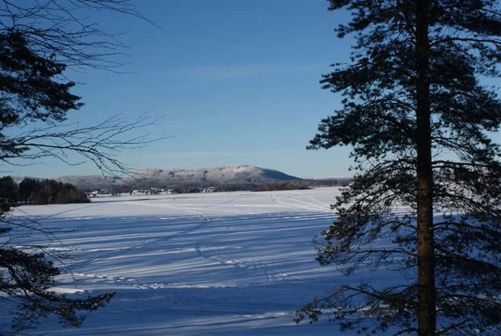 En vinterlandskap vid Ljusdals camping, med snötäckta grenar och ett frostigt morgonlandskap under en klarblå himmel.