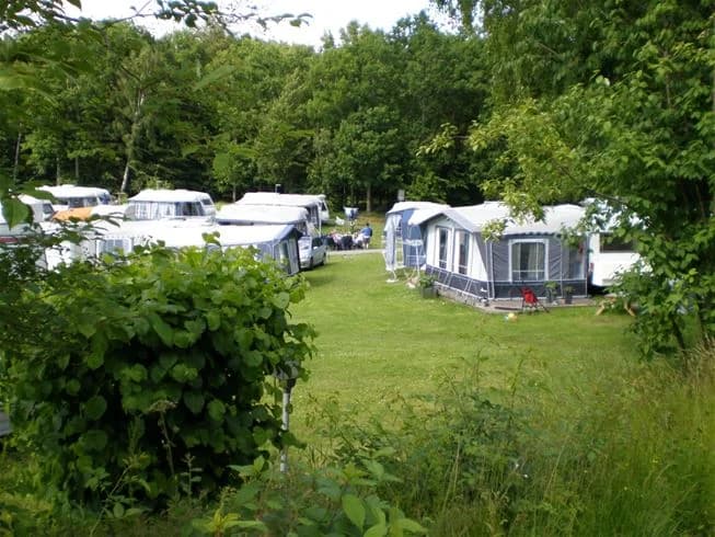 En frodig campingplats med gröna träd och växter, där en husvagn står parkerad på gräsmattan, omgiven av en parkträdgårdsmiljö.