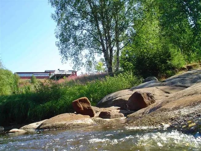 En naturskön vy över en porlande bäck omgiven av grönskande växtlighet vid Lufta Camping & Restaurang.
