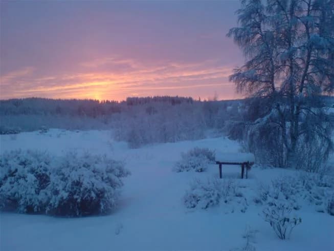 En vintermorgon på Lufta Camping & Restaurang, med snöklädda trädgrenar som sträcker sig mot en klarblå himmel och solen som stiger över den frusna vildmarken.
