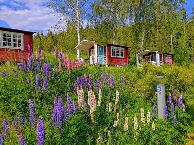 Upptäck frid och äventyr vid natursköna Yxningens Camping – där tradition möter moderna bekvämligheter nära sjö och skog.