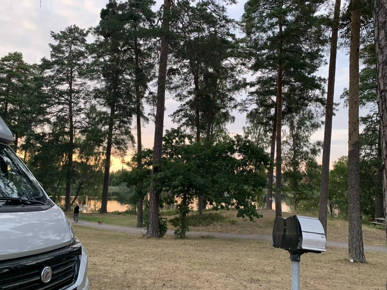 En husbil och flera personbilar parkerade på Joelskogens camping & ställplats, omgivna av grönska.