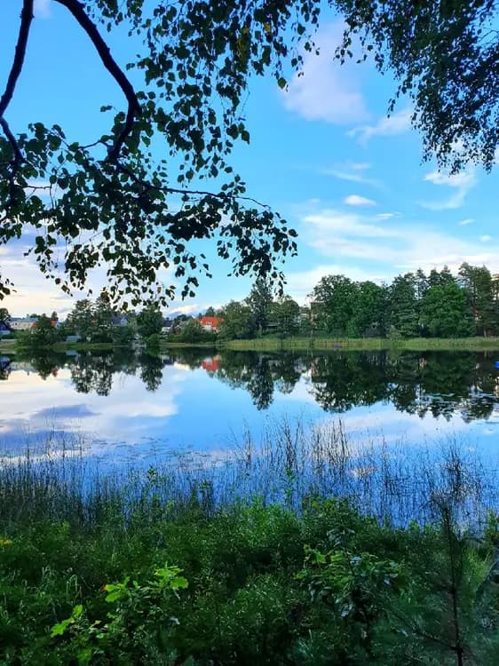 En naturskön vy vid Joelskogens camping & ställplats med en blå vattenspegel omgiven av grönskande träd och frodig vegetation.