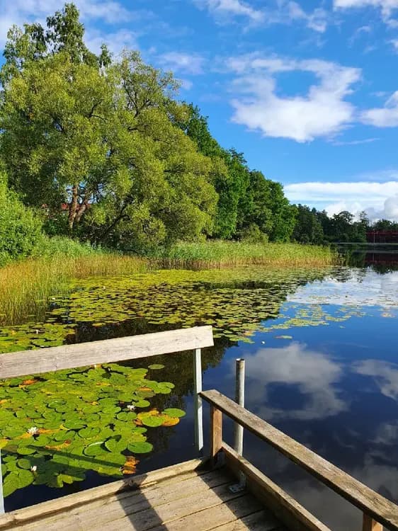 En naturskön vy över Joelskogens camping & ställplats med blå himmel, vattendrag och frodig grönska i förgrunden samt moln på himlen.