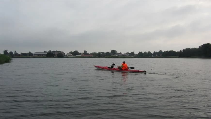 En grupp människor paddlar kajak på en vattenled nära Dalskärs camping, omgivna av grön natur och andra fritidsbåtar i bakgrunden.
